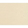 CARTULINA BATERIA DBL GRUESO MITAD 52X78-JISS-CARTON