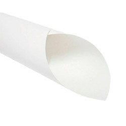 CARTULINA BLANCA 50X65CM-EXPRESSION-CARTULINA