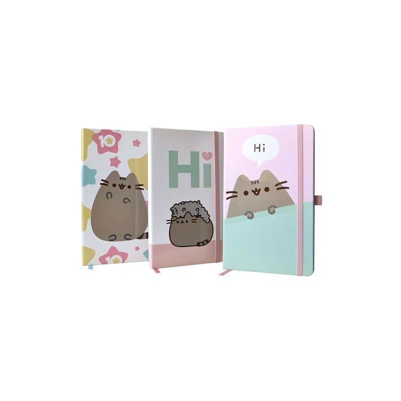 LIBRETA DE NOTAS MEDIUM 13X21CM 240 PAG PUSHEEN-DANPEX-BLOCK O CUADERNOS