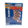 PAPEL BOND CARTA 75G 100H-ROCA-PAPEL MULTIFUNCIONAL