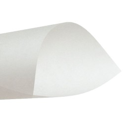PAPEL MANTEQUILLA 43GR 61X91CM-JISS-PAPEL CALCA