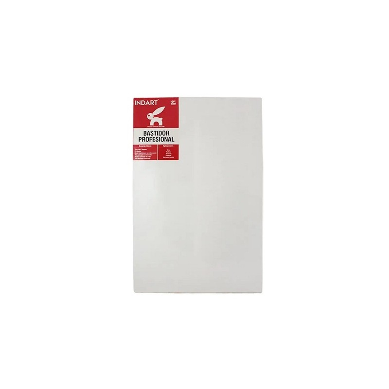 BAST. PROFESIONAL TD 2 CARAS 40X60-ROEL-BASTIDOR